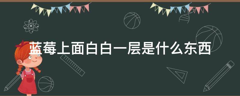 蓝莓上面白白一层是什么东西