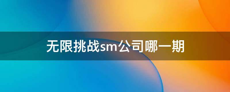 无限挑战sm公司哪一期