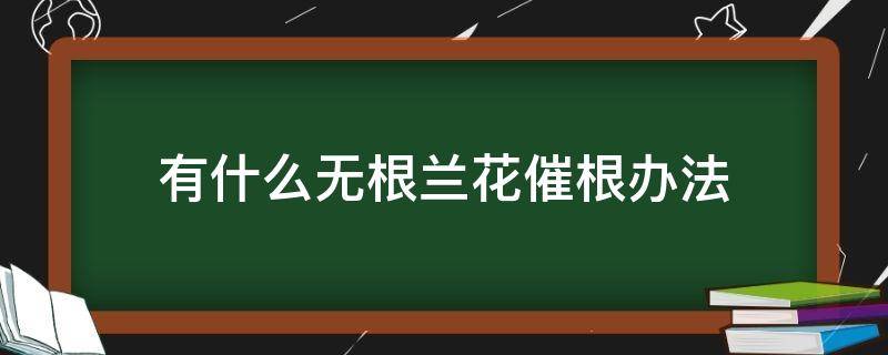 有什么无根兰花催根办法