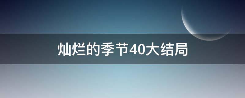 灿烂的季节40大结局