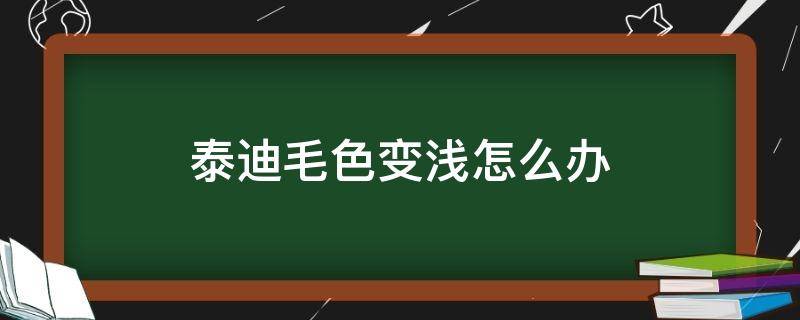 泰迪毛色变浅怎么办