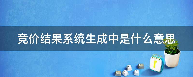 竞价结果系统生成中是什么意思