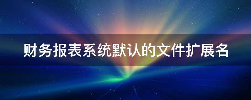 财务报表系统默认的文件扩展名