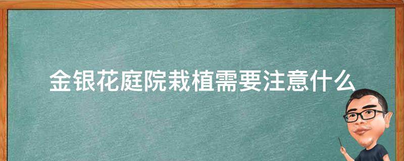 金银花庭院栽植需要注意什么