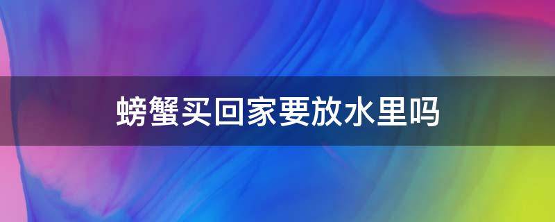 螃蟹买回家要放水里吗