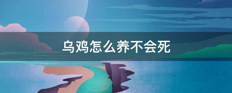 乌鸡怎么养不会死