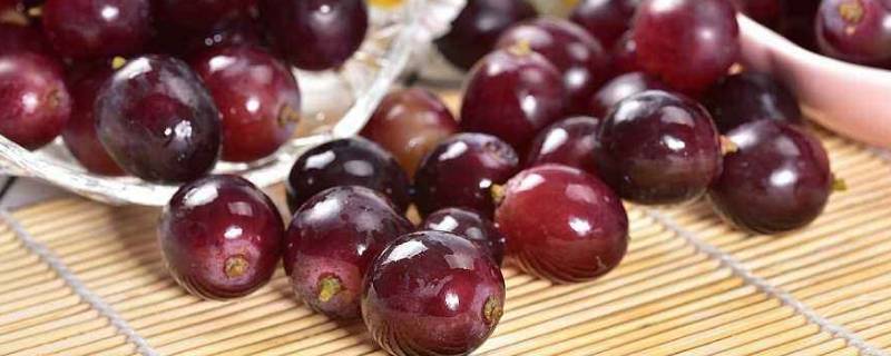 葡萄和西瓜哪个糖分高-墨子百科 葡萄和西瓜哪个糖分高