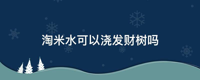 淘米水可以浇发财树吗