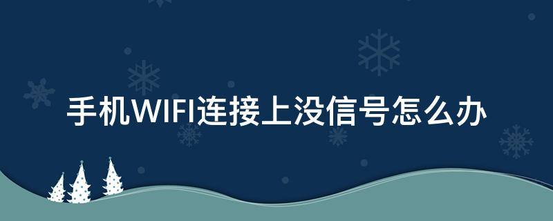 手机WIFI连接上没信号怎么办