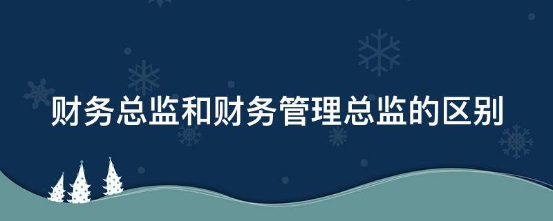 财务总监和财务管理总监的区别