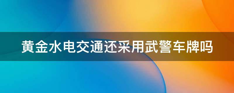 黄金水电交通还采用武警车牌吗