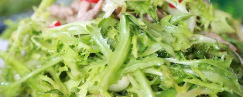 苦苣怎么炒好吃-墨子百科 苦苣怎么炒好吃