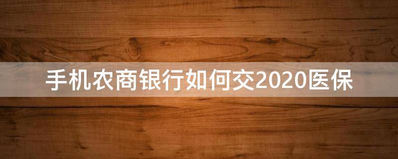 手机农商银行如何交2020医保