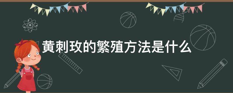 黄刺玫的繁殖方法是什么