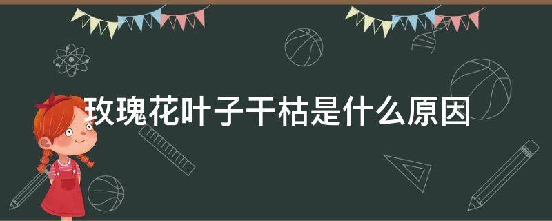 玫瑰花叶子干枯是什么原因