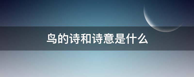 鸟的诗和诗意是什么