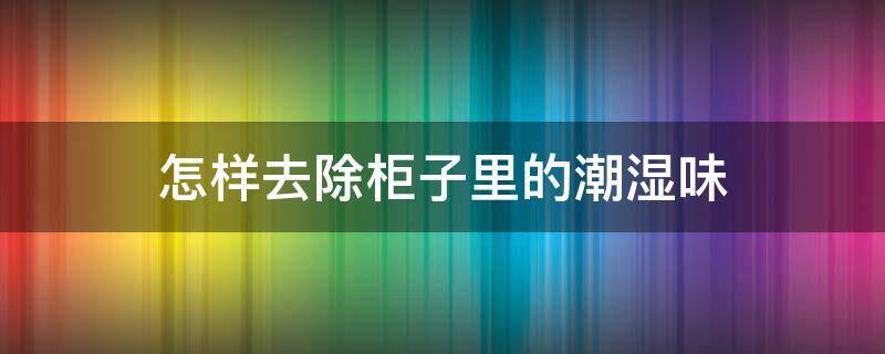 怎样去除柜子里的潮湿味