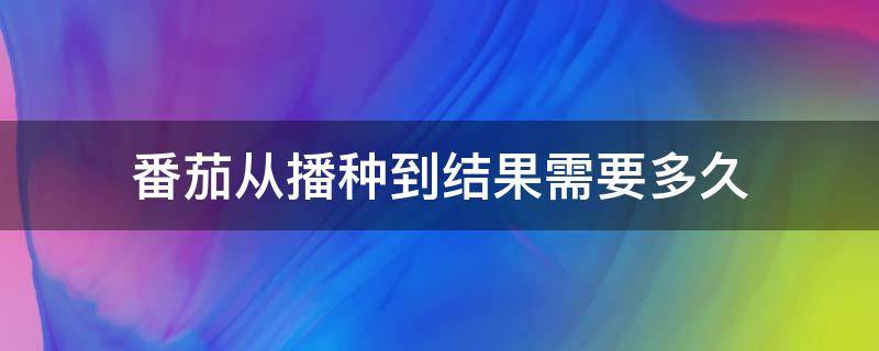 番茄从播种到结果需要多久