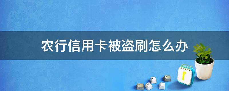 农行信用卡被盗刷怎么办