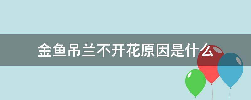 金鱼吊兰不开花原因是什么