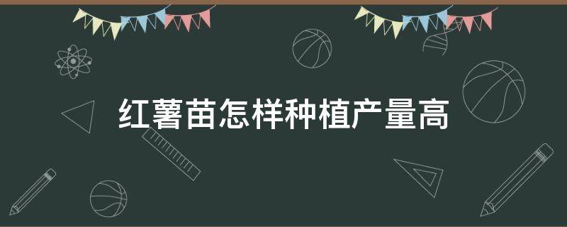 红薯苗怎样种植产量高