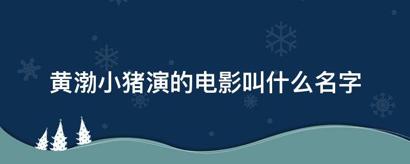 黄渤小猪演的电影叫什么名字