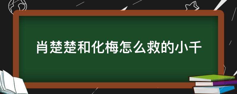 肖楚楚和化梅怎么救的小千