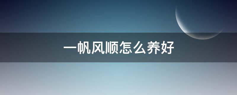 一帆风顺怎么养好