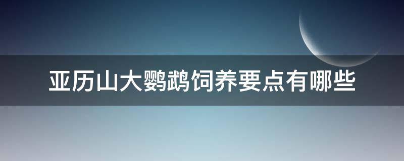 亚历山大鹦鹉饲养要点有哪些