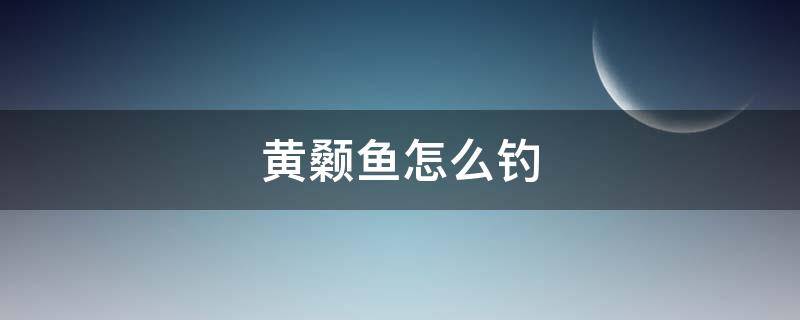 黄颡鱼怎么钓