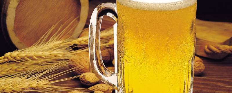 用啤酒烧菜如何去除啤酒苦味-墨子百科 用啤酒烧菜如何去除啤酒苦味