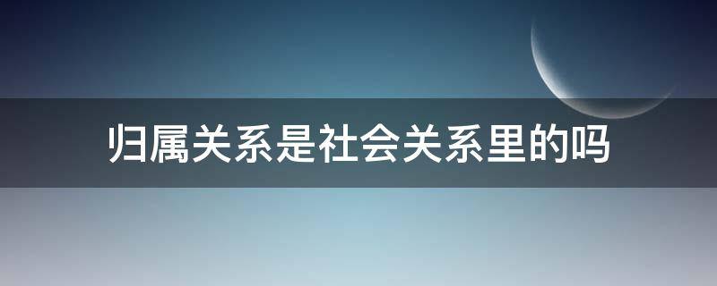 归属关系是社会关系里的吗