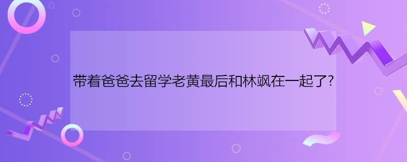 带着爸爸去留学老黄最后和林飒在一起了