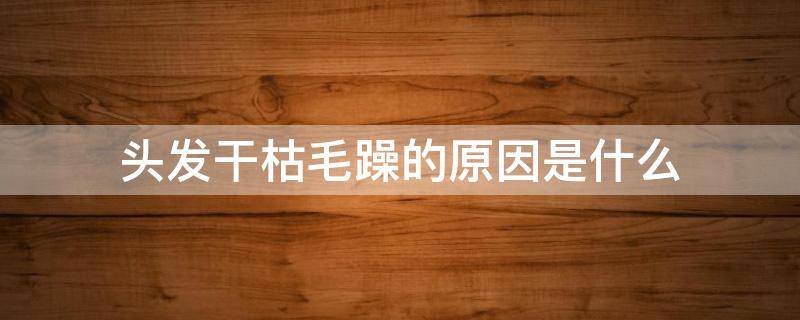 头发干枯毛躁的原因是什么