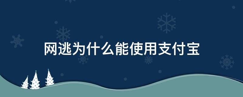 网逃为什么能使用支付宝