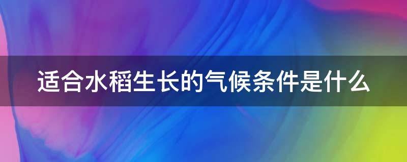 适合水稻生长的气候条件是什么