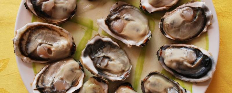 海蛎子怎么炒-墨子百科 海蛎子怎么炒