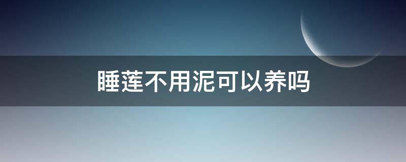 睡莲不用泥可以养吗