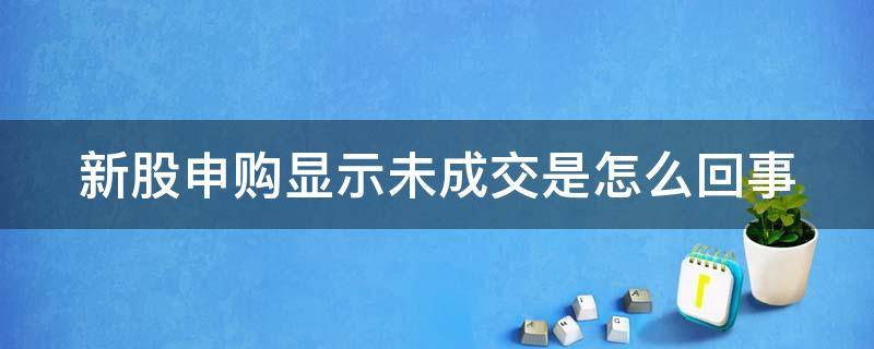 新股申购显示未成交是怎么回事