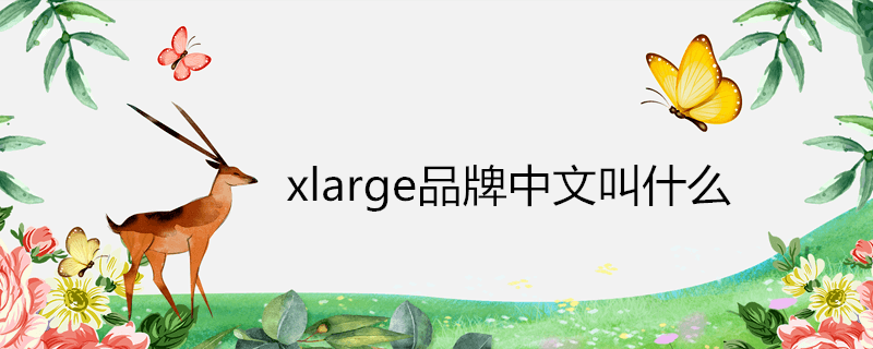 xlarge品牌中文叫什么