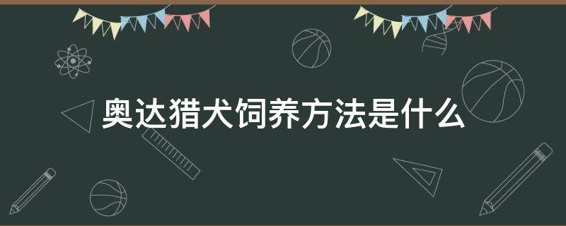 奥达猎犬饲养方法是什么