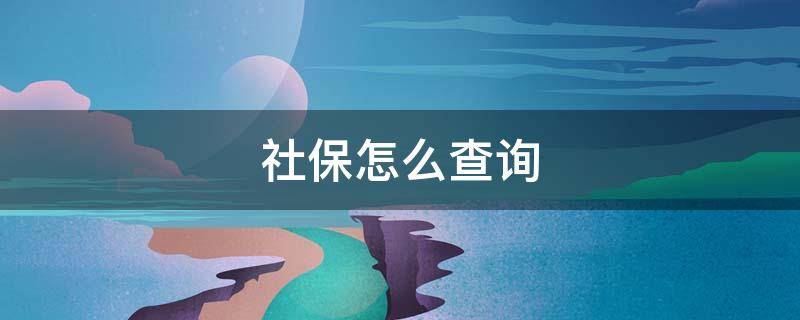 社保怎么查询