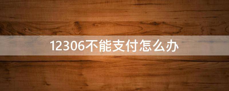 12306不能支付怎么办