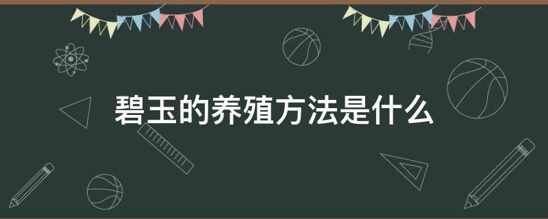 碧玉的养殖方法是什么