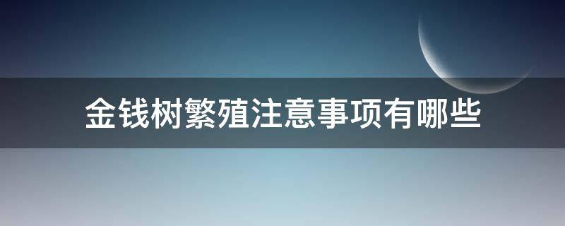 金钱树繁殖注意事项有哪些