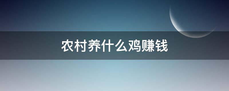 农村养什么鸡赚钱