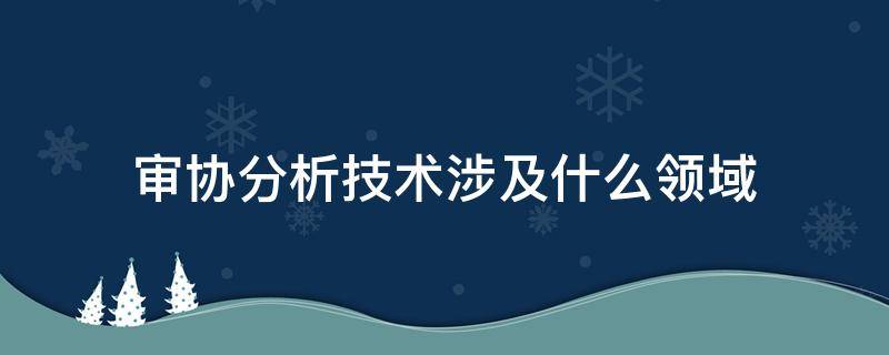 审协分析技术涉及什么领域