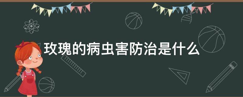 玫瑰的病虫害防治是什么