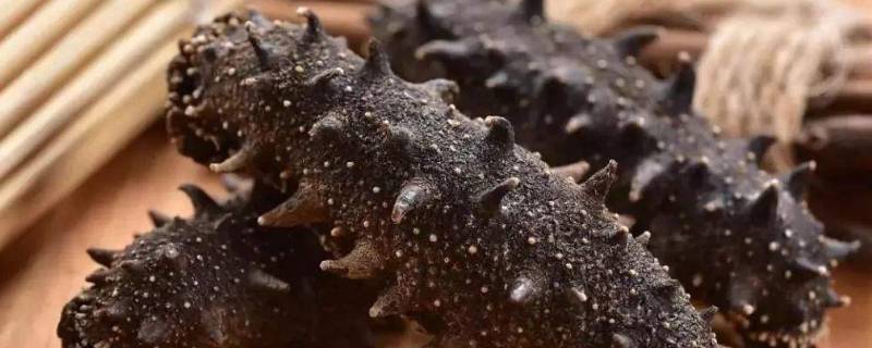 干海参泡发的正确方法-墨子百科 干海参泡发的正确方法