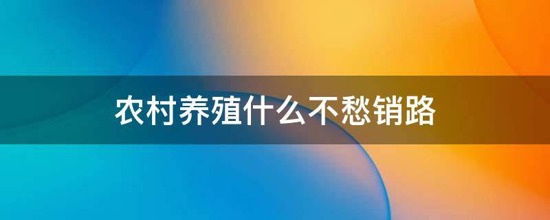 农村养殖什么不愁销路